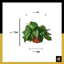 PARLO PRODUCT EDITING (67).webp