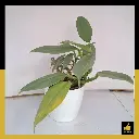 PARLO PRODUCT EDITING (75).webp