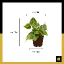 PARLO PRODUCT EDITING (83).webp