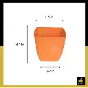 PARLO PRODUCT EDITING (3) (1).webp