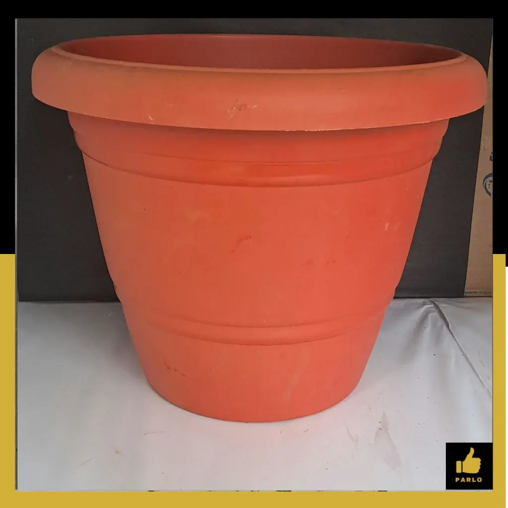 PARLO PRODUCT EDITING (10).webp