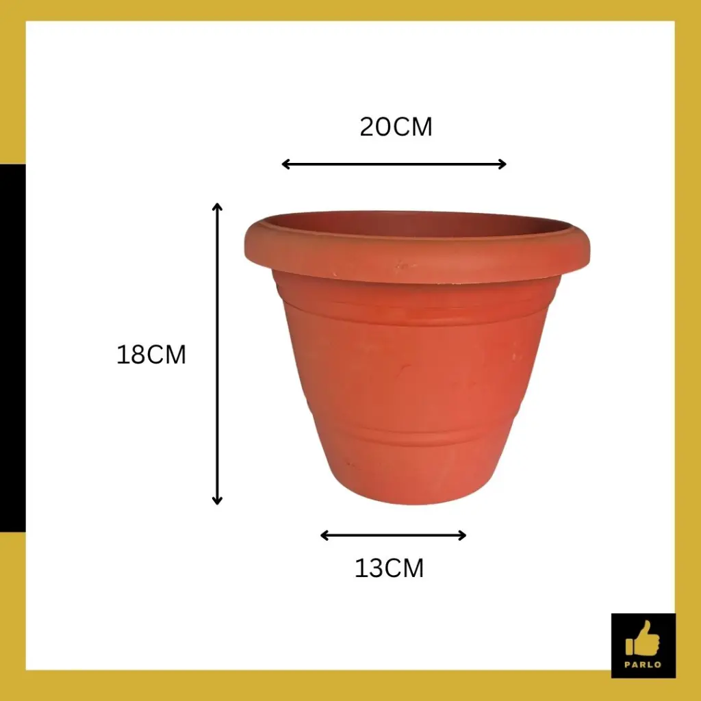 PARLO PRODUCT EDITING (9).webp