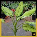 PARLO PRODUCT EDITING (92).webp