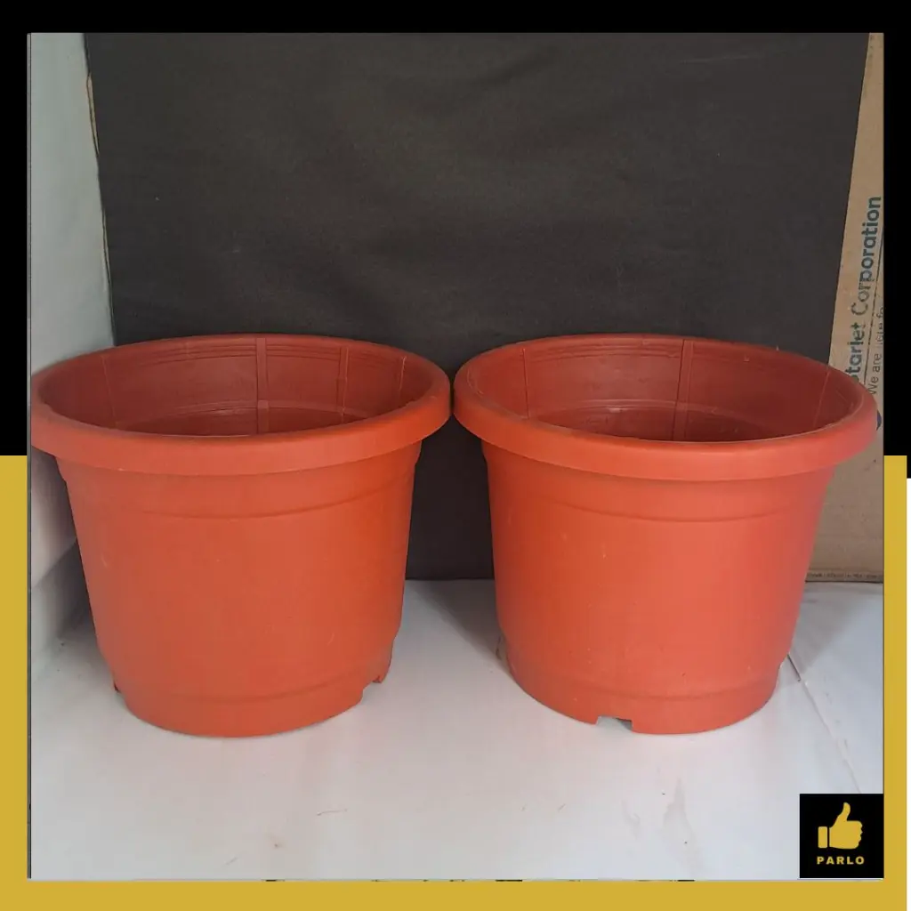 PARLO PRODUCT EDITING (7).webp