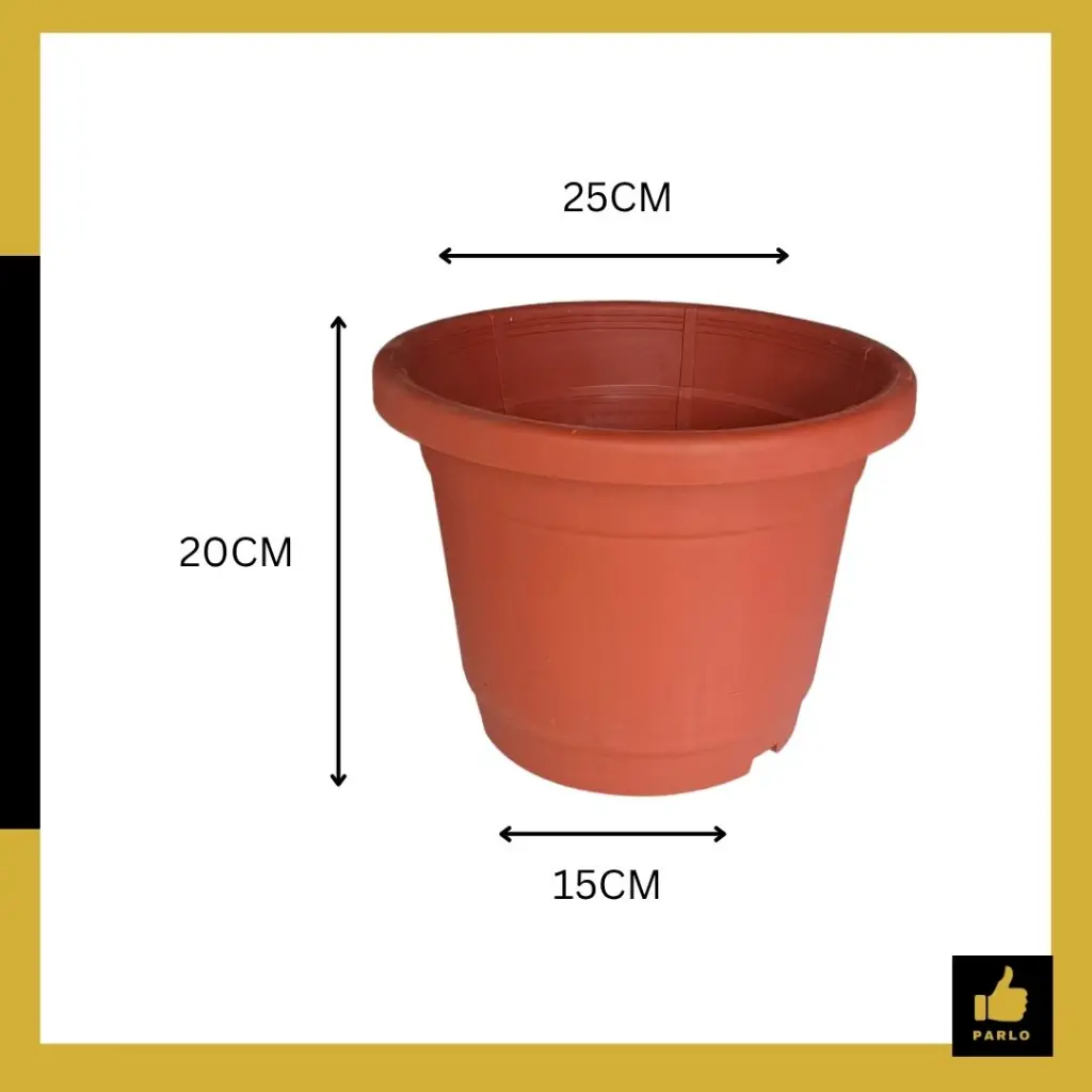 PARLO PRODUCT EDITING (6).webp