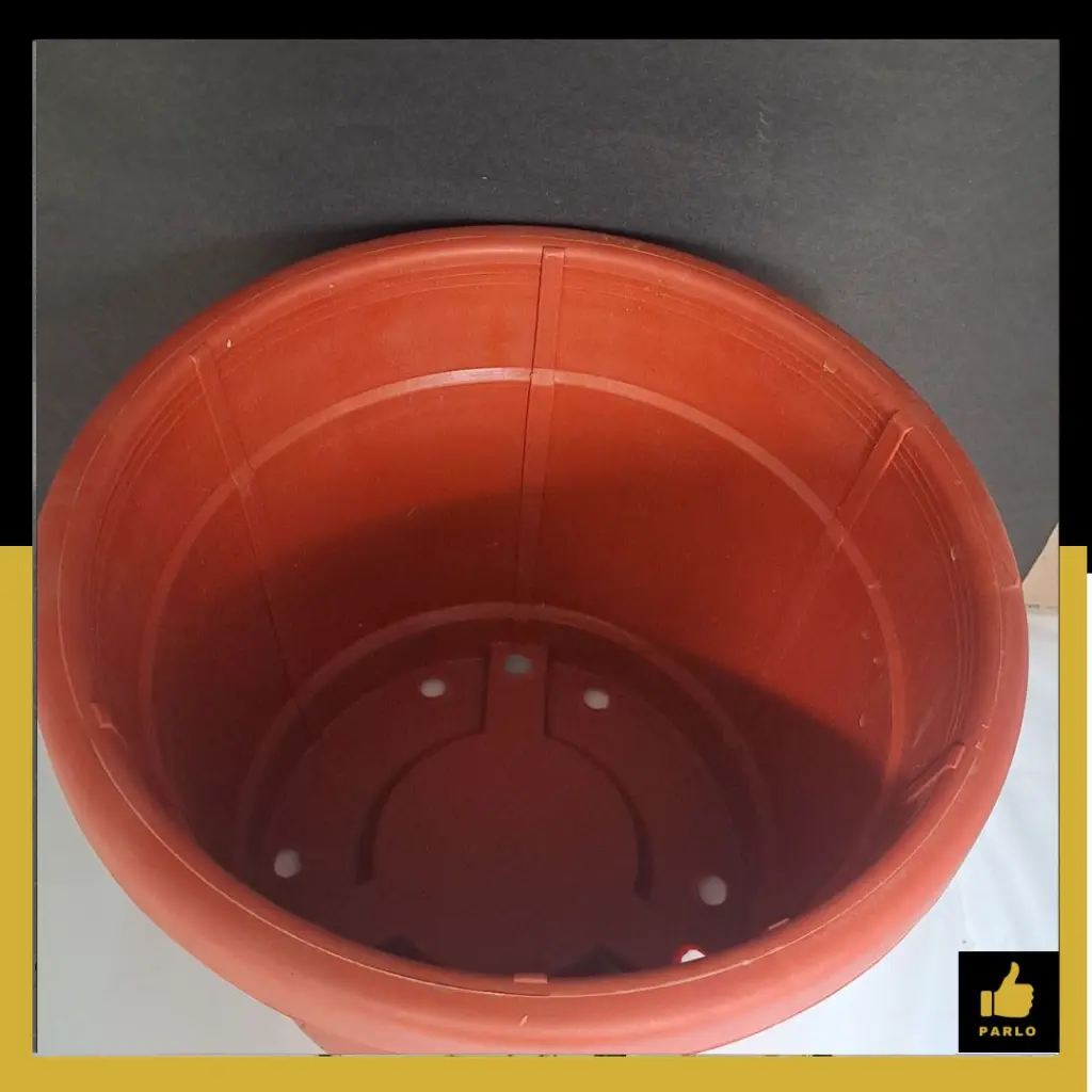 PARLO PRODUCT EDITING (4).webp