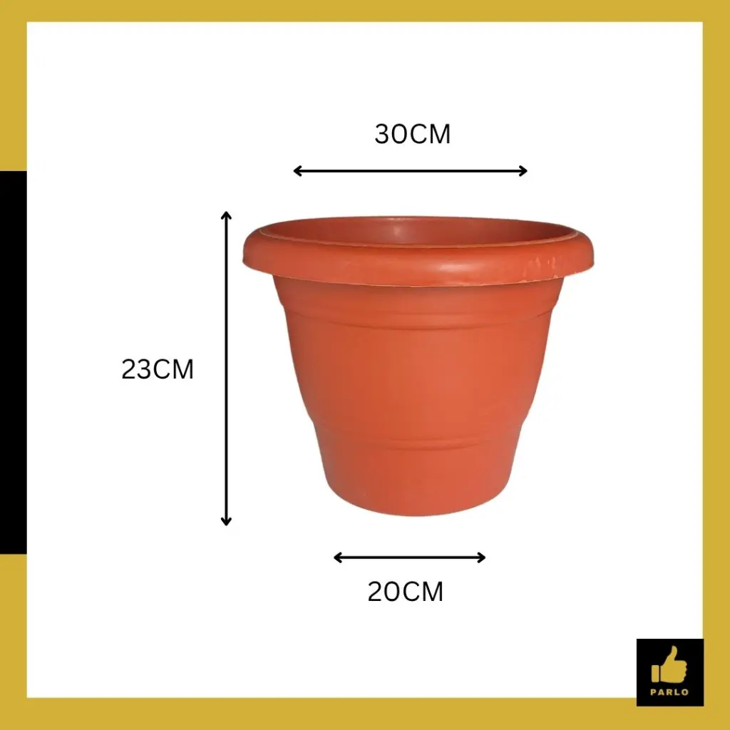 PARLO PRODUCT EDITING (3) (1).webp