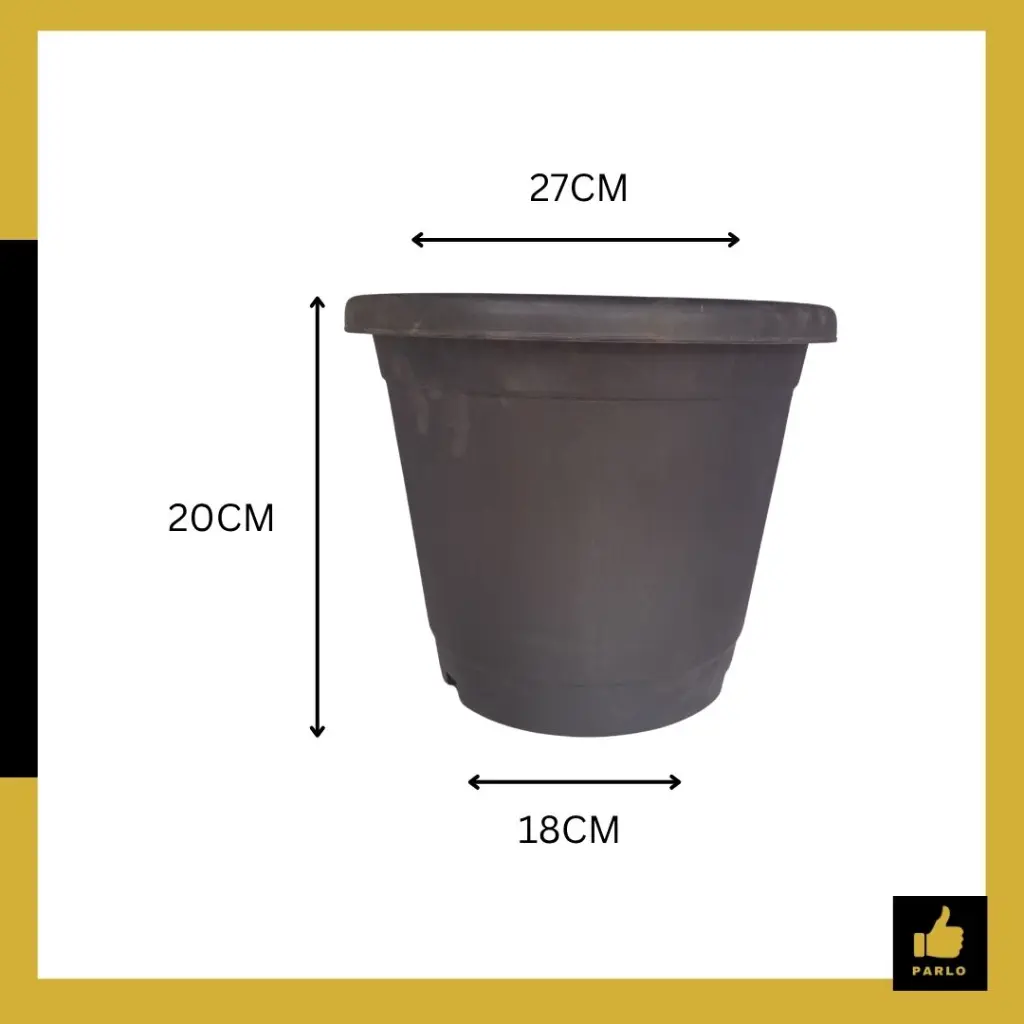 PARLO PRODUCT EDITING (8) (1).webp