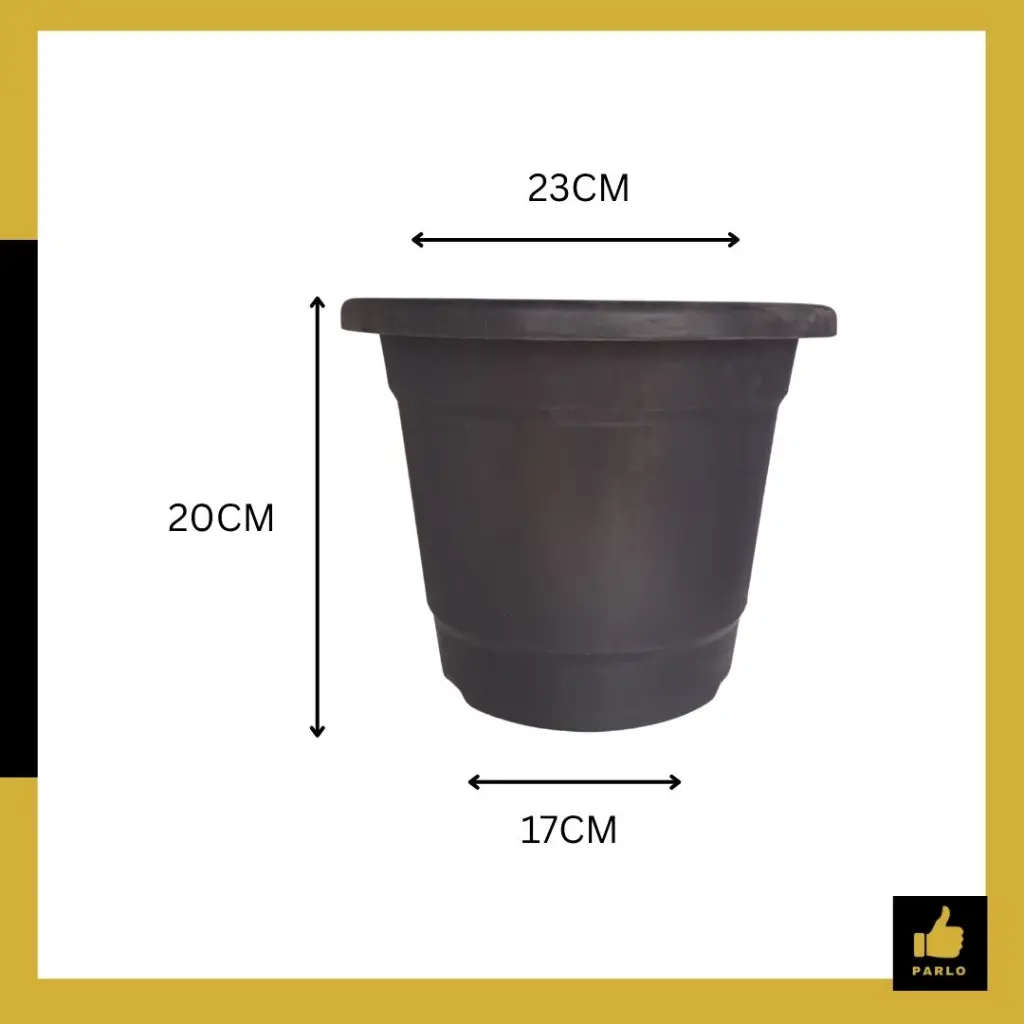 PARLO PRODUCT EDITING (4) (1).webp