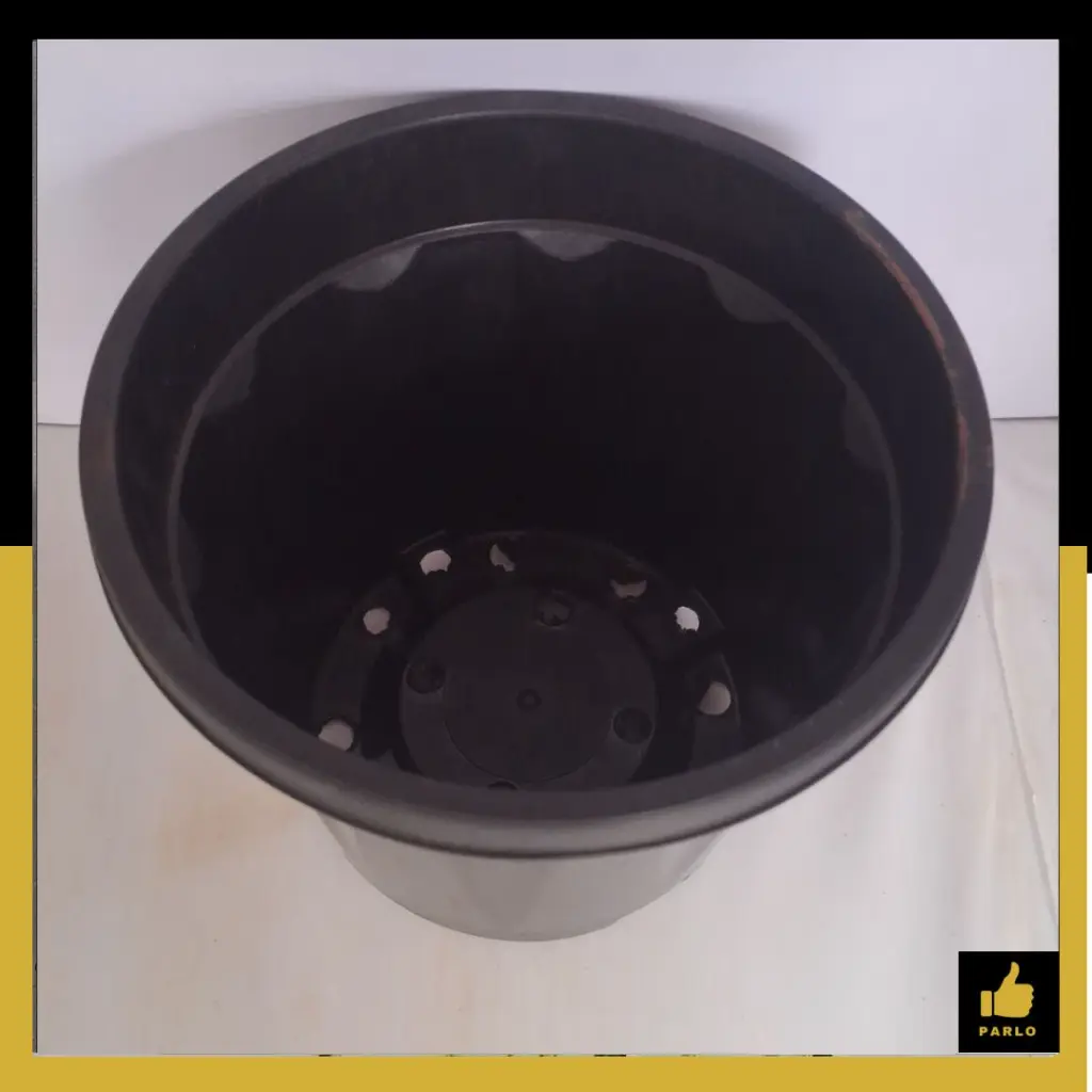 PARLO PRODUCT EDITING (5) (1).webp