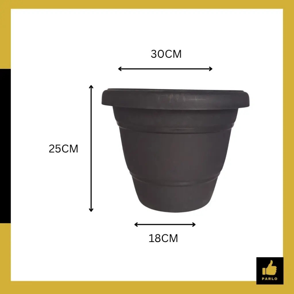 PARLO PRODUCT EDITING (1).webp