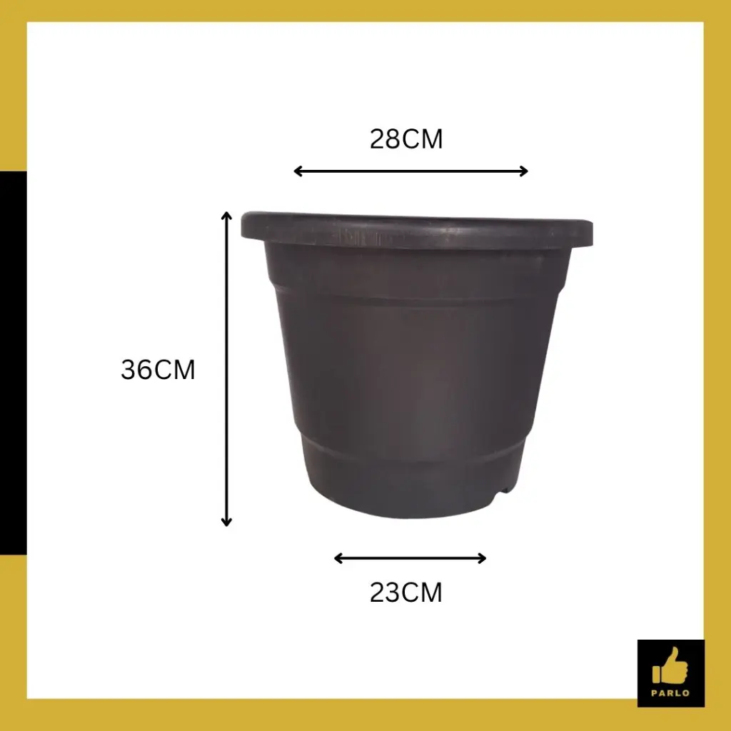 PARLO PRODUCT EDITING (1) (1).webp