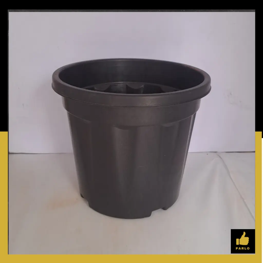 PARLO PRODUCT EDITING (5).webp