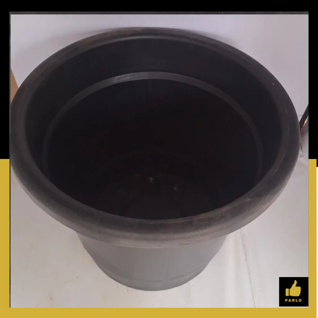 PARLO PRODUCT EDITING (1).webp