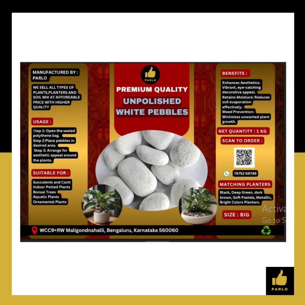 PARLO PRODUCT EDITING - 2025-06-04T173533.336.webp