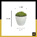 PARLO PRODUCT EDITING - 2025-05-30T195703.937.webp