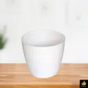 Divine - 6 White ( 5 1/2 Inch )