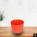 Divine - 6 Red ( 5 1/2 Inch )