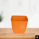 Dream - 4 Orange ( Square 4 1/2 Inch )