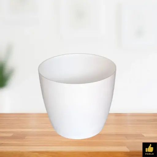 Divine - 6 White ( 5 1/2 Inch )