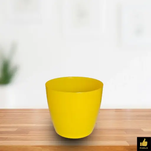 Divine - 6 Yellow ( 5 1/2 Inch )